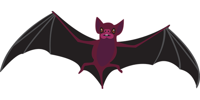 Myths About Bats